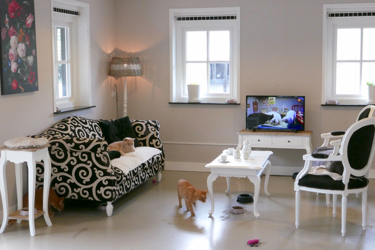 dhm-luxehotel-stock-6