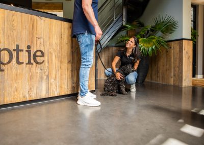 Incheck receptie dierenhotel Marijke