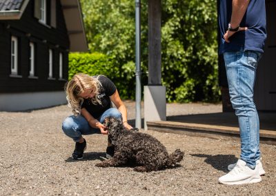 Incheck @ dierenhotel Marijke