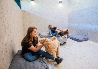 Comfortroom @ dierenhotel Marijke