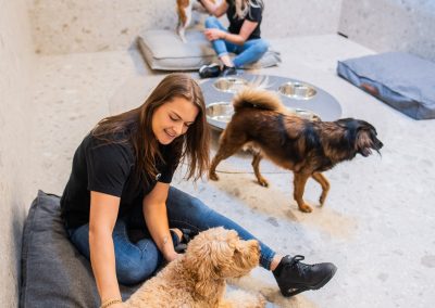Comfortroom @ dierenhotel Marijke