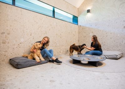 Comfortroom @ dierenhotel Marijke