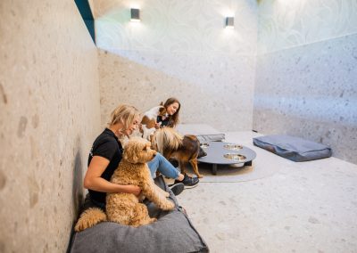 Comfortroom @ dierenhotel Marijke