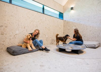 Comfortroom @ dierenhotel Marijke