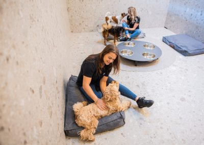 Comfortroom @ dierenhotel Marijke