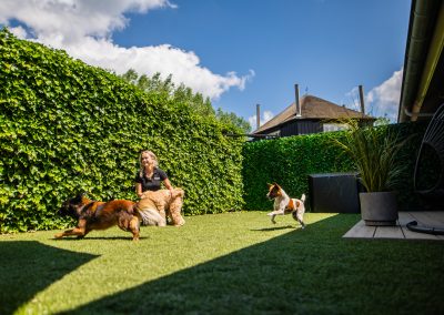 Speelweide nummer 8 bij luxe suite