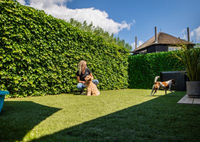 Speelweide nummer 8 bij luxe suite