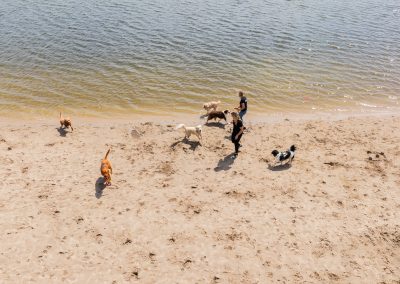 Strandwandeling dierenhotel Marijke