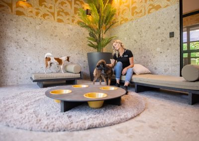 Luxe suite @dierenhotel Marijke
