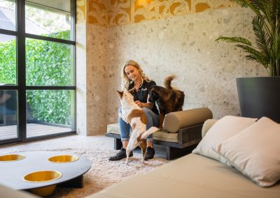 Luxe suite @dierenhotel Marijke