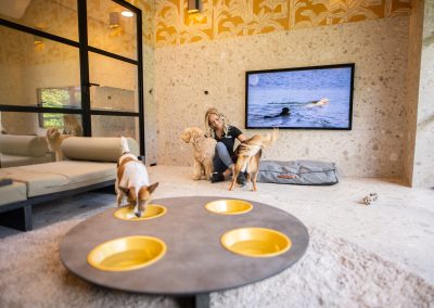 Luxe suite @dierenhotel Marijke