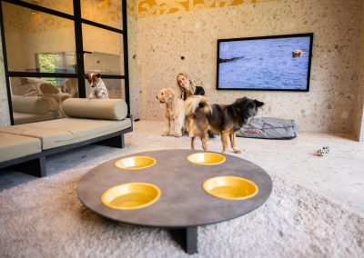 Luxe suite @dierenhotel Marijke