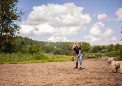 Spelen strand dierenhotel Marijke