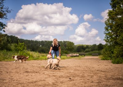 Spelen strand dierenhotel Marijke