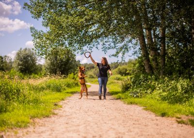 Arrangement "Parkwandeling"@ dierenhotel Marijke