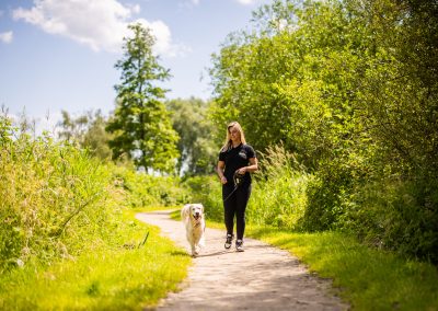 Arrangement "Parkwandeling"@ dierenhotel Marijke