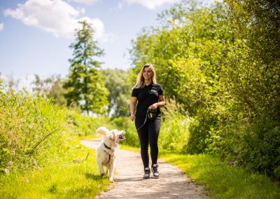 Arrangement "Parkwandeling"@ dierenhotel Marijke