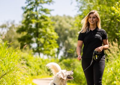 Arrangement "Parkwandeling"@ dierenhotel Marijke