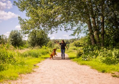 Arrangement "Parkwandeling"@ dierenhotel Marijke