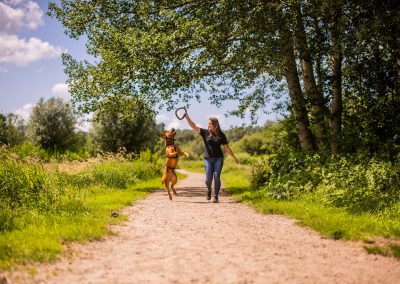 Arrangement "Parkwandeling"@ dierenhotel Marijke