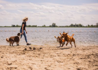 Strandwandeling dierenhotel Marijke
